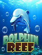 โหลด เกม mafia88 สุดมันส์ คว้าโบนัสใหญ่!